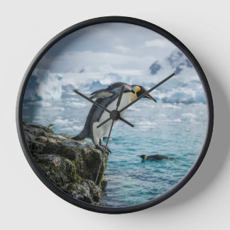 Reloj de pingüino