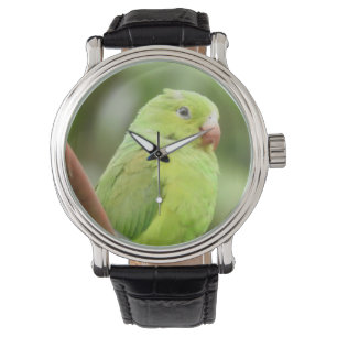 Reloj De Pulsera 16 Loro WATCH