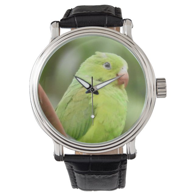 Reloj De Pulsera 16 Loro WATCH (Anverso)