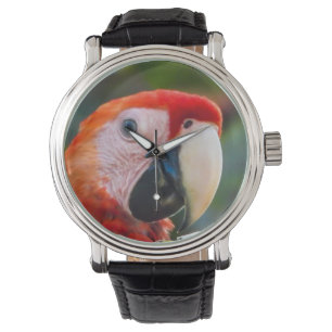 Reloj De Pulsera 16 Loro WATCH