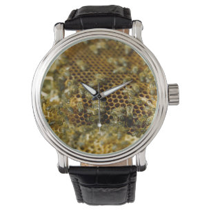Reloj De Pulsera Abejas En Colmena, Cabo Occidental, Sudáfrica