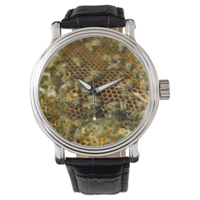 Reloj De Pulsera Abejas En Hive, Cabo Occidental, Sudáfrica (Anverso)