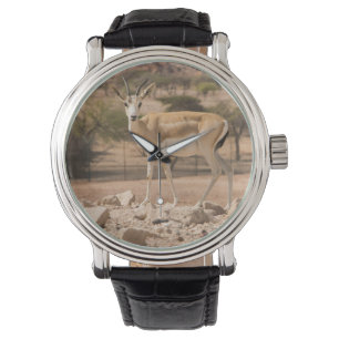 Reloj De Pulsera Abu Dhabi