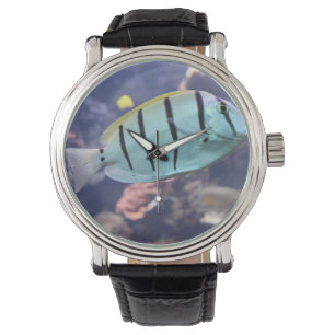 Reloj De Pulsera Acanthurus triostegus