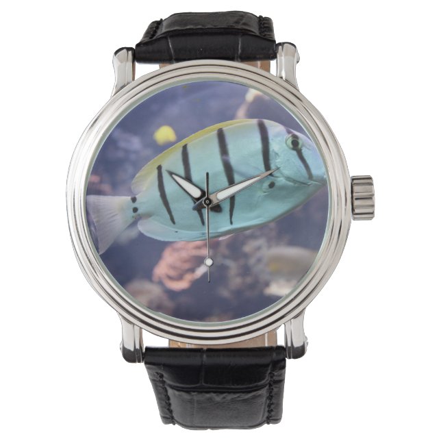 Reloj De Pulsera Acanthurus triostegus (Anverso)