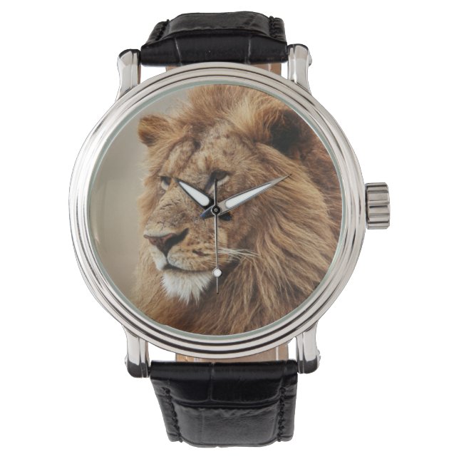 Reloj De Pulsera Acercamiento del león masculino (Anverso)
