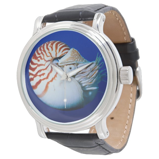 Reloj De Pulsera Acercamiento Del Nautilus Encantado (Angular)