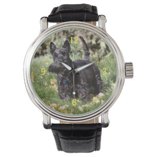 Reloj De Pulsera Ach