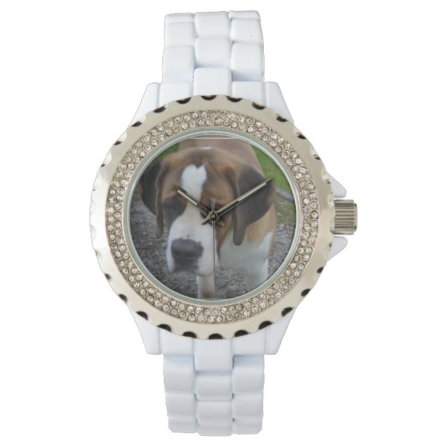 Reloj De Pulsera Adorable St Bernard (Anverso)