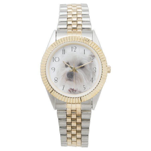 Reloj De Pulsera Adorable White West Highland Terrier (Anverso)