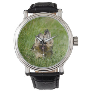 Reloj De Pulsera Adorable Yorkshire Terrier corriendo por la hierba