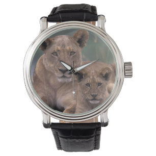 Reloj De Pulsera África, Botsuana, Delta del Okavango. Leones