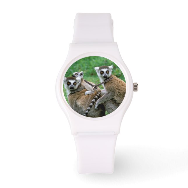 Reloj De Pulsera África, Madagascar, Antananarivo, Tsimbazaza (Anverso)