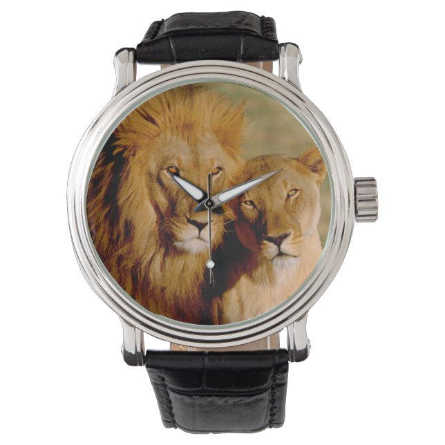 Reloj De Pulsera África, Namibia, Okonjima. León y leona (Anverso)