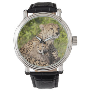 Reloj De Pulsera África. Tanzania. Madre y crías de guepardo 2