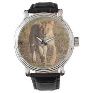 Reloj De Pulsera África, Tanzania, Serengeti. León y leona
