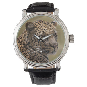 Reloj De Pulsera África, Tanzania, Serengeti. Leopardo