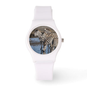 Reloj De Pulsera África. Tanzania. Zebras bebiendo en Ndutu en