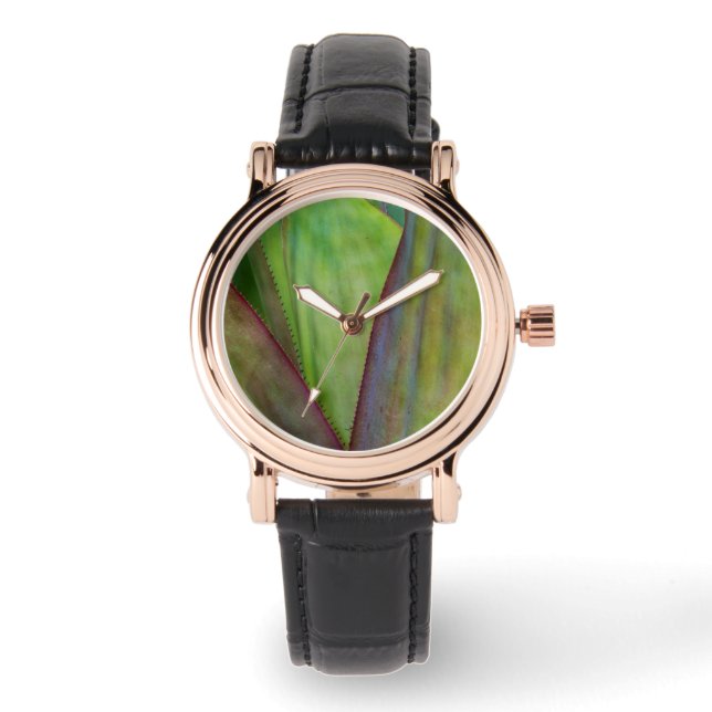 Reloj De Pulsera Agave Planta Detalle (Anverso)