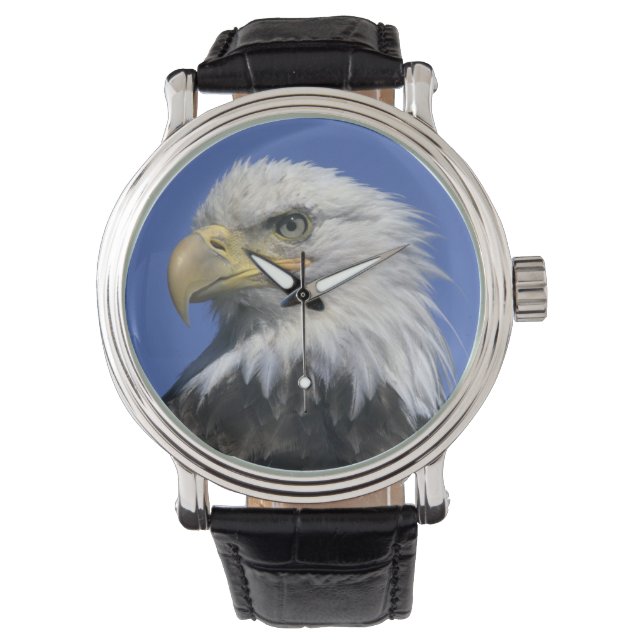 Reloj De Pulsera Águila calva, (Haliaeetus leucocephalus), salvaje, (Anverso)