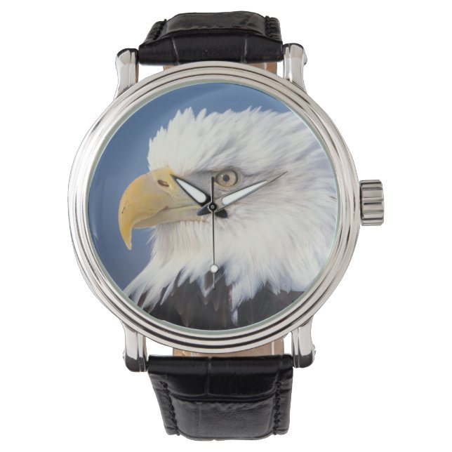 Reloj De Pulsera águila calva, Haliaetus leuccocephalus, (Anverso)