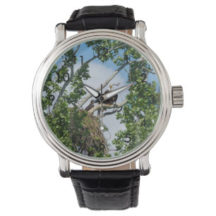 Reloj De Pulsera Águilas calientes