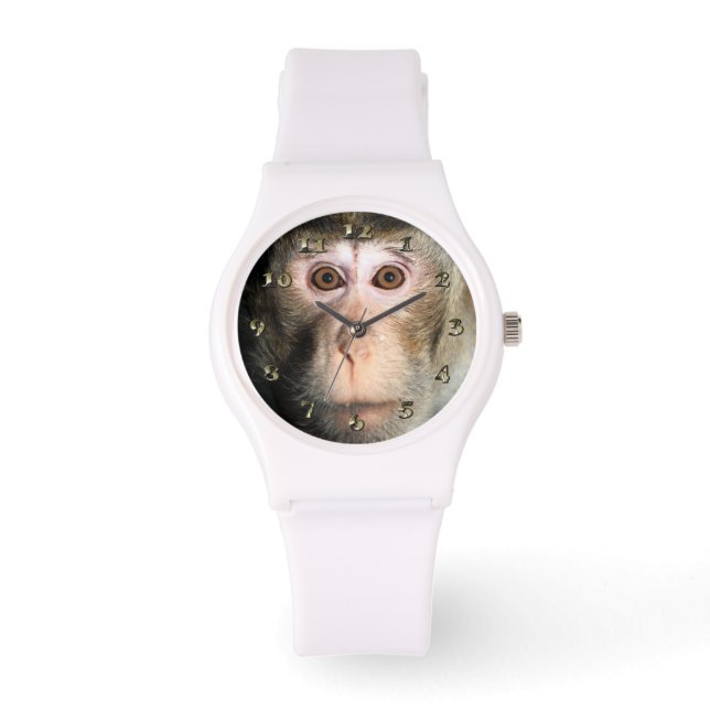 Reloj De Pulsera Álamo de selva tropical en peligro (Anverso)