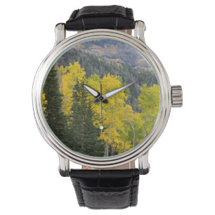 Reloj De Pulsera Álamos Temblones (Populus Tremuloides) y Coníferas