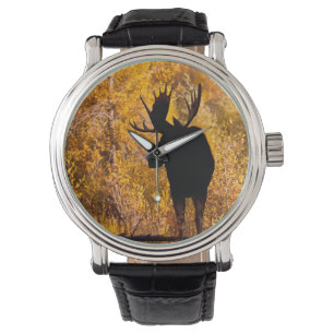 Reloj De Pulsera Alce (Alces Alces) Macho en Sauces Dorados 2