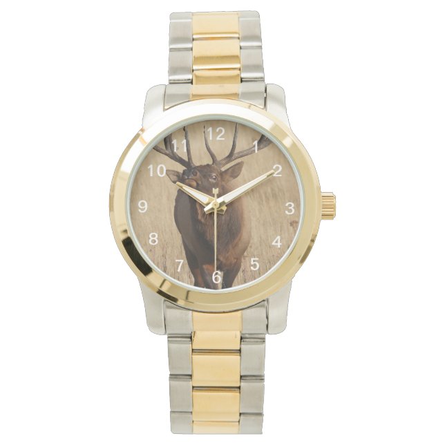Reloj De Pulsera alce de toro (Anverso)