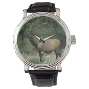 Reloj De Pulsera Alces hermosos