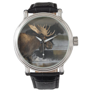 Reloj De Pulsera alces que salpican en el agua