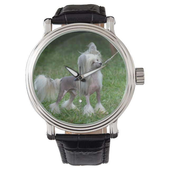 Reloj De Pulsera Alerta Perro chino en reposo (Anverso)