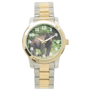 Reloj De Pulsera Alfa Black Bear