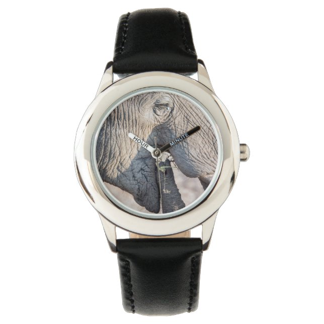 Reloj De Pulsera Alimentación de elefantes (Anverso)