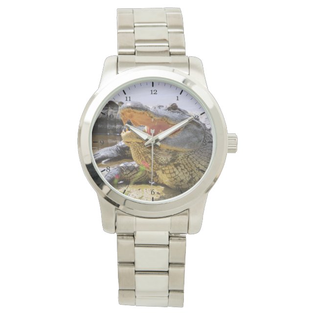 Reloj De Pulsera Alligador (Anverso)