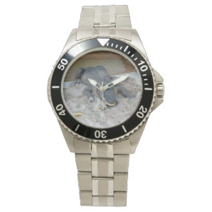 Reloj De Pulsera Alligator, Fort Lauderdale, Florida