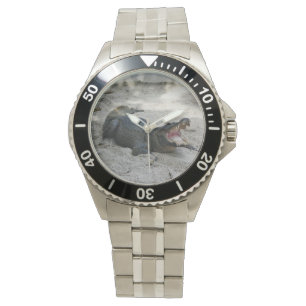 Reloj De Pulsera Alligator, Fort Lauderdale, Florida
