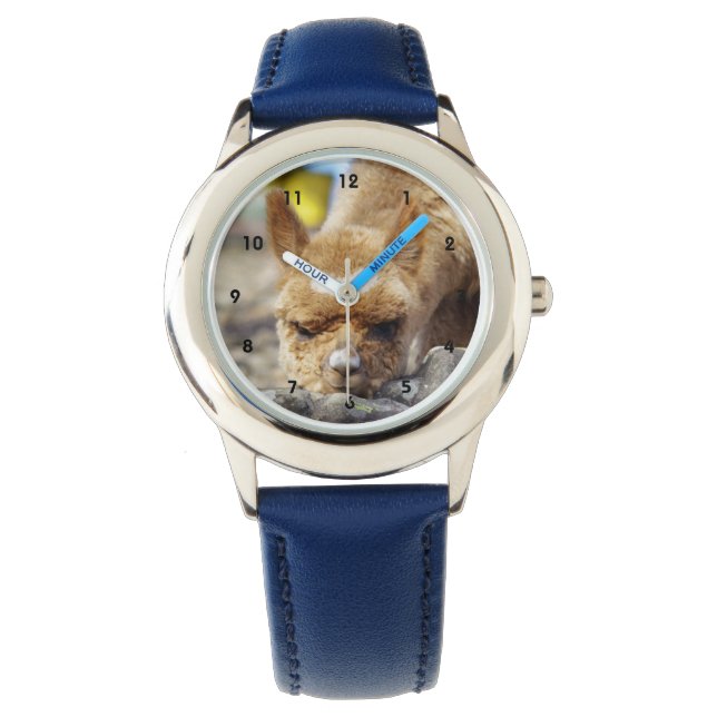 Reloj De Pulsera Alpaca Stainless Steless Watch (Anverso)