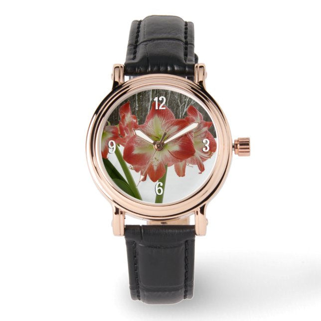 Reloj De Pulsera Amaryllis en floral de invierno en la nieve roja f (Anverso)