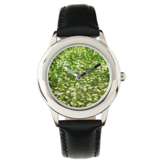 Reloj De Pulsera Ámbito de Oxeye Daisies Resumen Impresionismo (Anverso)