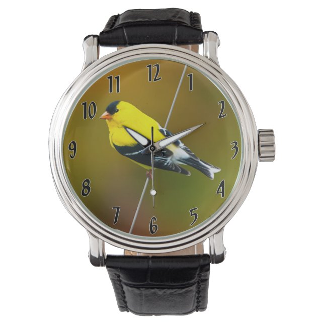 Reloj De Pulsera American Goldfinch - Fotografía original (Anverso)