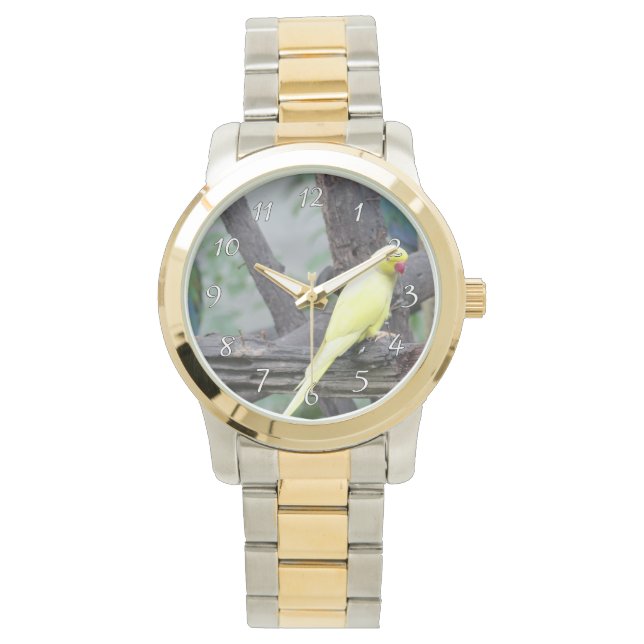 Reloj De Pulsera Anillo amarillo de Lutino con paracaídas en un árb (Anverso)