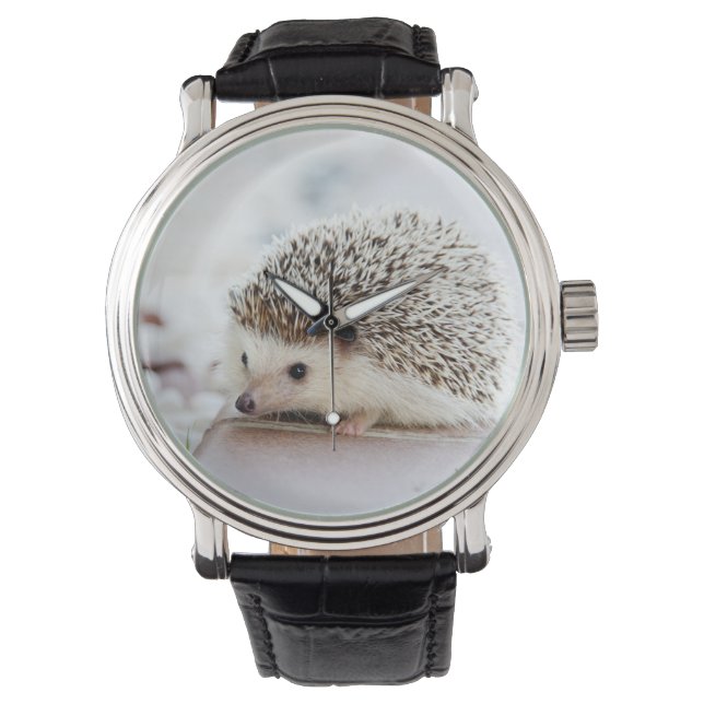 Reloj De Pulsera Animal Cute Baby Hedgehog (Anverso)
