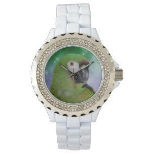Reloj De Pulsera Animal grave de Macaw Parrot