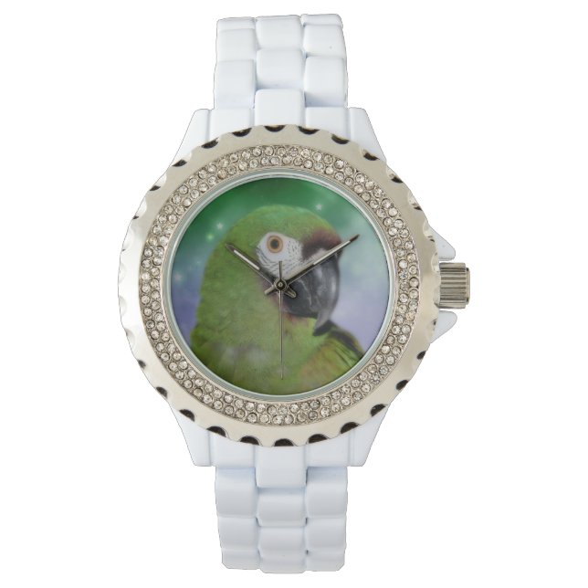 Reloj De Pulsera Animal grave de Macaw Parrot (Anverso)