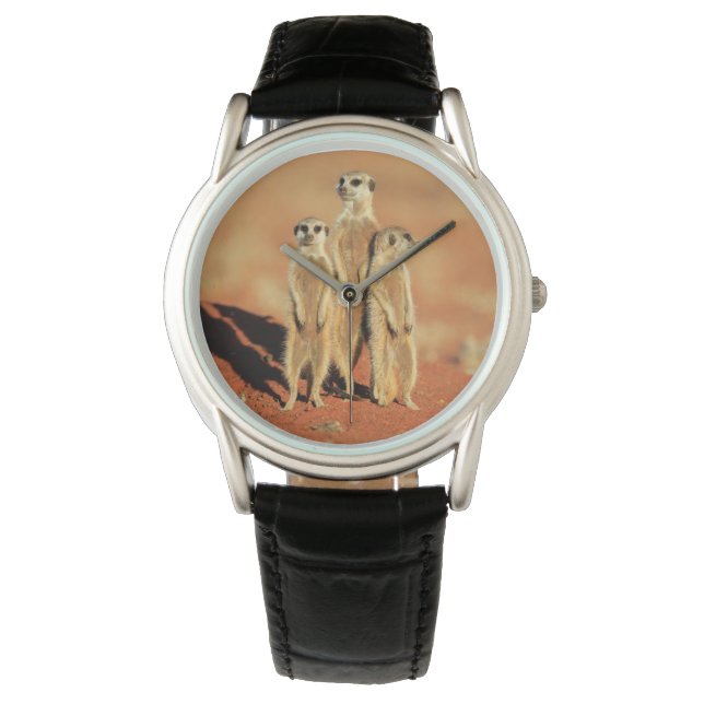 Reloj De Pulsera Animales de bebé más afectados | 3 Meerkats (Anverso)