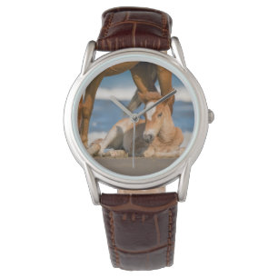 Reloj De Pulsera Animales de bebé más afectados   Caballo salvaje C
