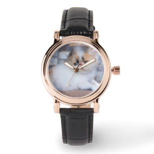 Reloj De Pulsera Animales de bebé más afectados   Calico Persian Ki
