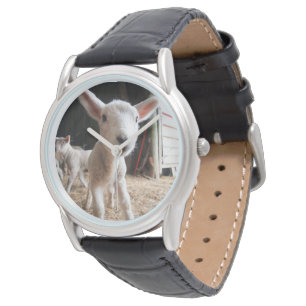 Reloj De Pulsera Animales de bebé más afectados   Cordero blanco en